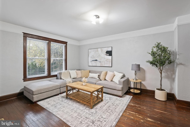 living room featuring crown molding and dark wood-type flooring