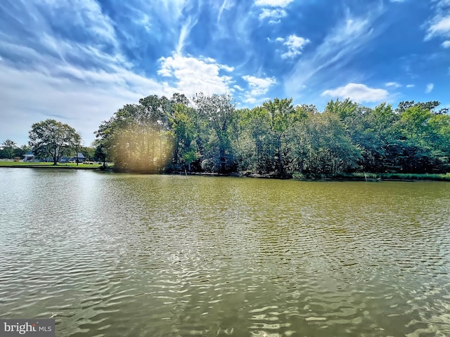 property view of water