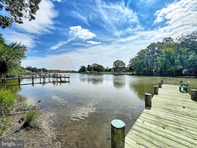 dock area with a water view