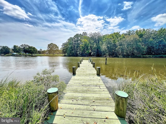 dock area featuring a water view