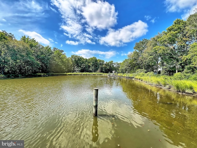 view of dock with a water view