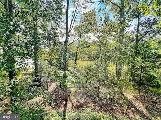 view of nature with a forest view