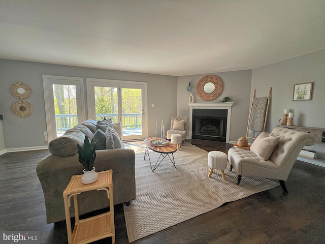 living area featuring baseboards, wood finished floors, and a fireplace