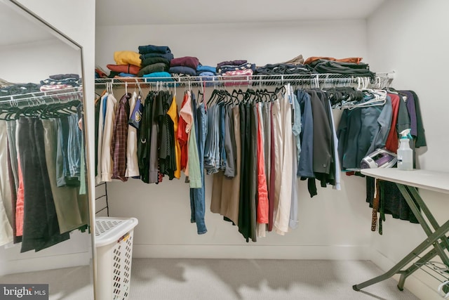 spacious closet featuring carpet