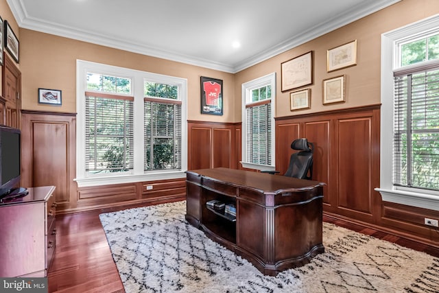 office area featuring crown molding, a wealth of natural light, and dark hardwood / wood-style flooring