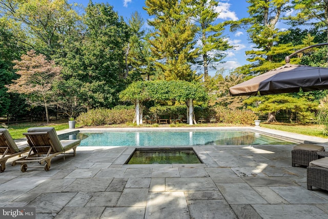 view of pool with an in ground hot tub and a patio