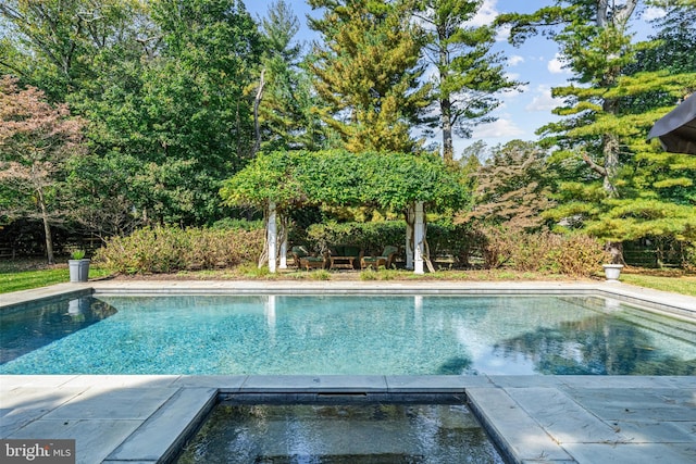 view of swimming pool with an in ground hot tub