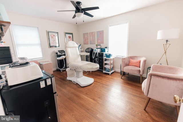 office area with a wealth of natural light, ceiling fan, and wood-type flooring