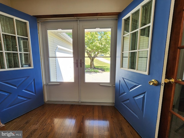 doorway with french doors and dark hardwood / wood-style floors