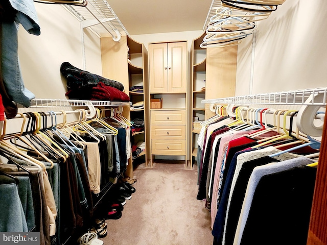 spacious closet with light colored carpet