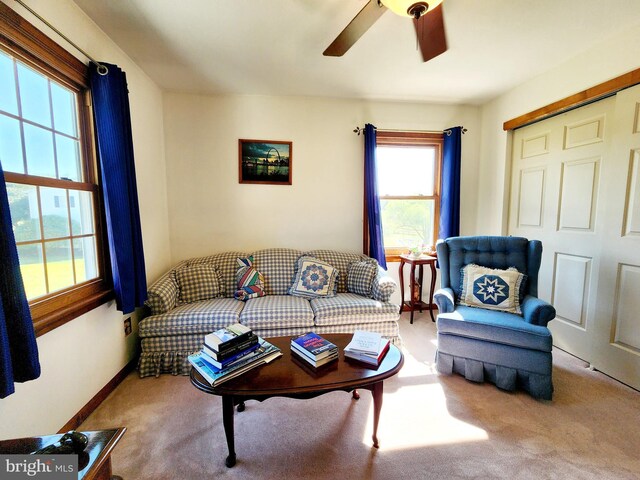 carpeted bedroom with multiple windows