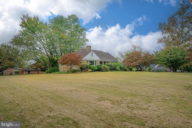 view of yard