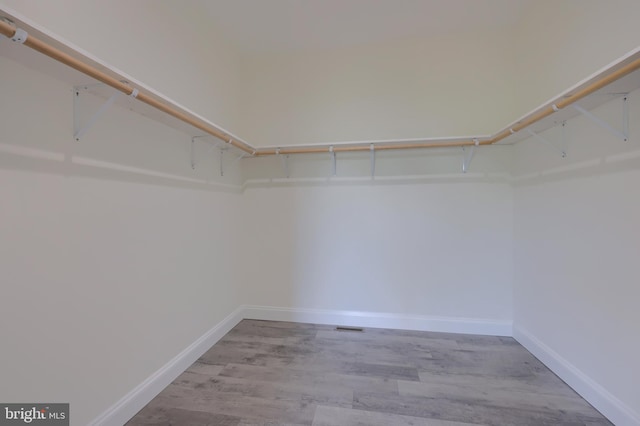 walk in closet featuring light wood-type flooring