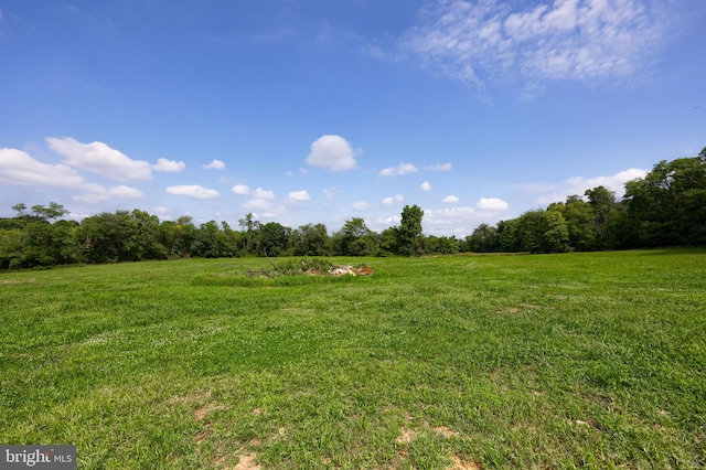 view of yard with a rural view