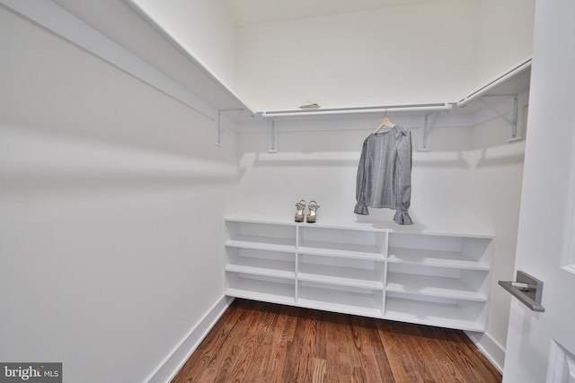 spacious closet featuring wood-type flooring