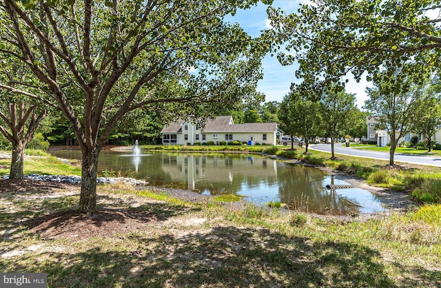 property view of water