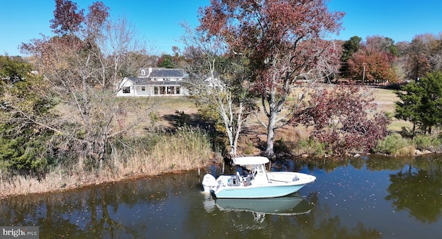 dock area with a water view