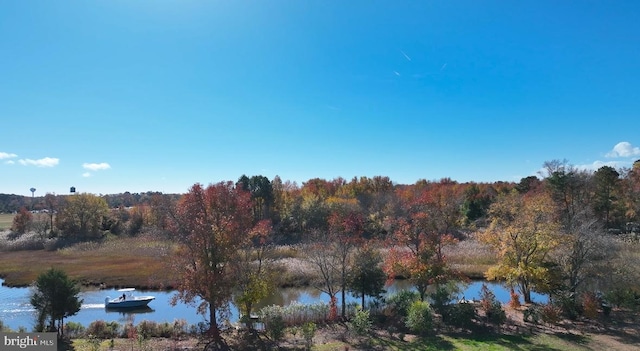 view of water feature