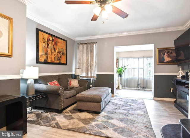 living room featuring hardwood / wood-style floors, ceiling fan, and crown molding