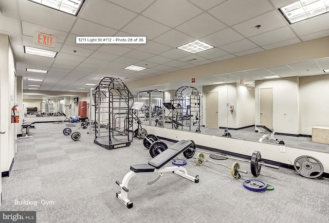 workout area with carpet and a paneled ceiling