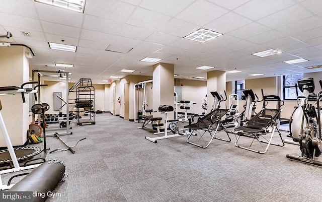 workout area with light carpet and a paneled ceiling