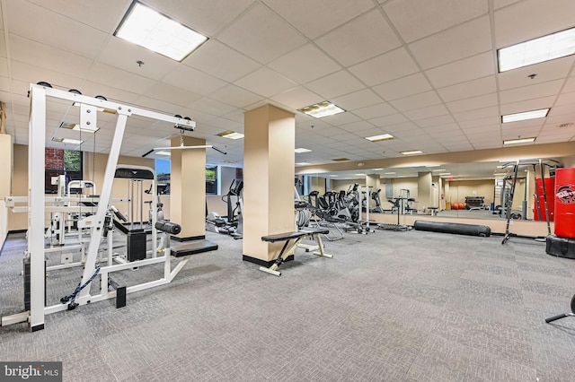 gym featuring a drop ceiling and carpet