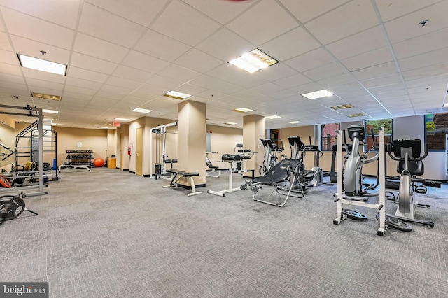 exercise room featuring carpet floors and a drop ceiling