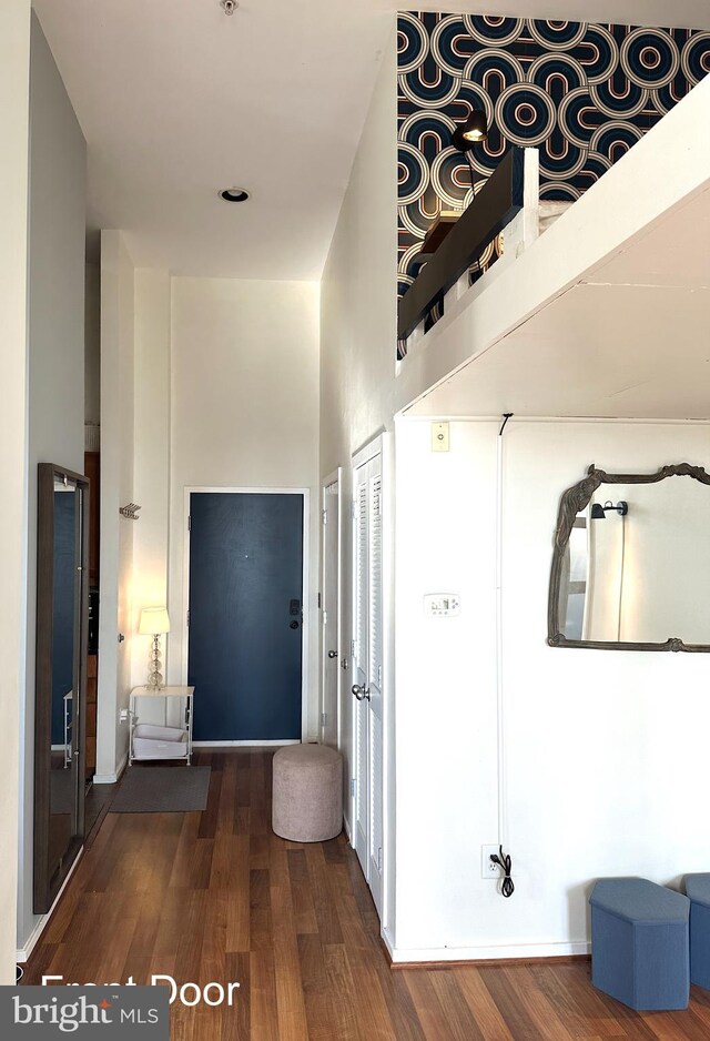 entrance foyer featuring a high ceiling and dark hardwood / wood-style flooring