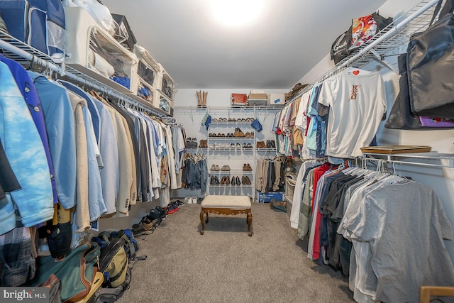 walk in closet featuring carpet