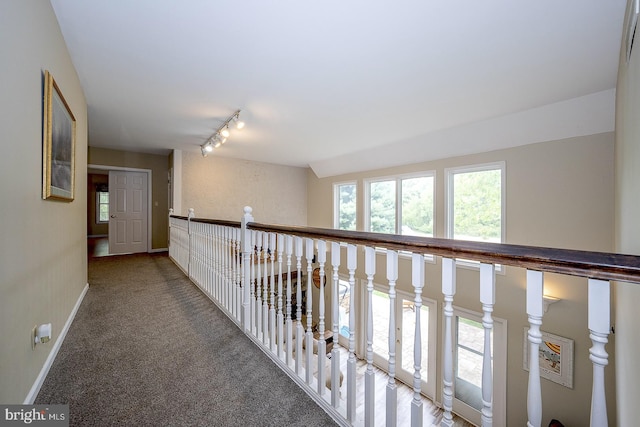 corridor featuring a healthy amount of sunlight, track lighting, and carpet