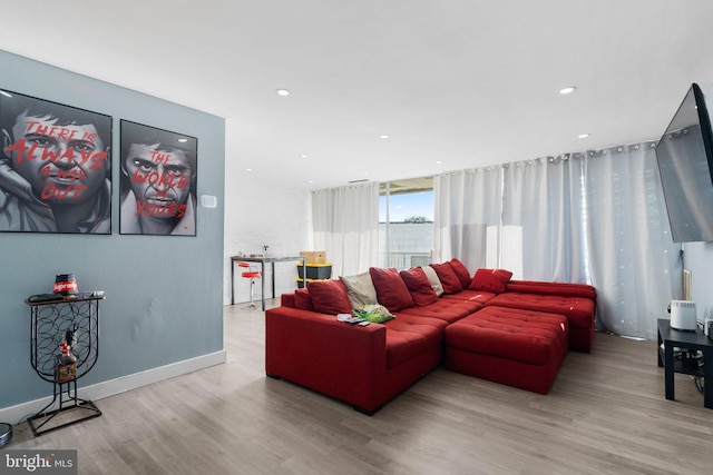 living room with wood-type flooring