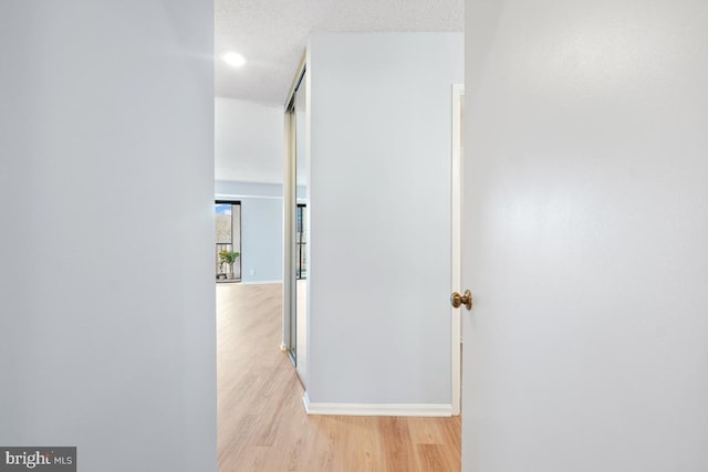 corridor featuring a textured ceiling and light hardwood / wood-style floors