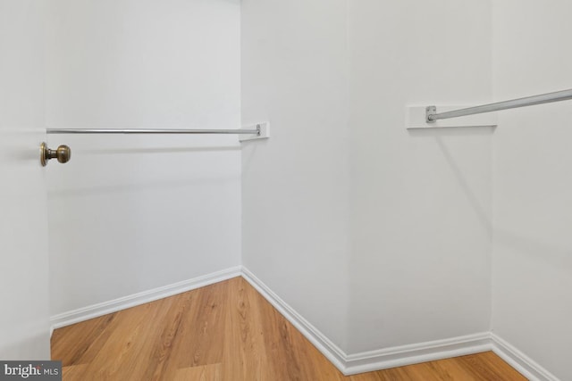 walk in closet with hardwood / wood-style flooring