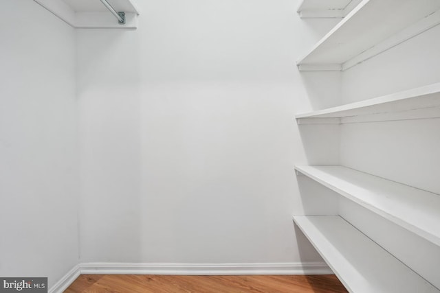 walk in closet with hardwood / wood-style flooring