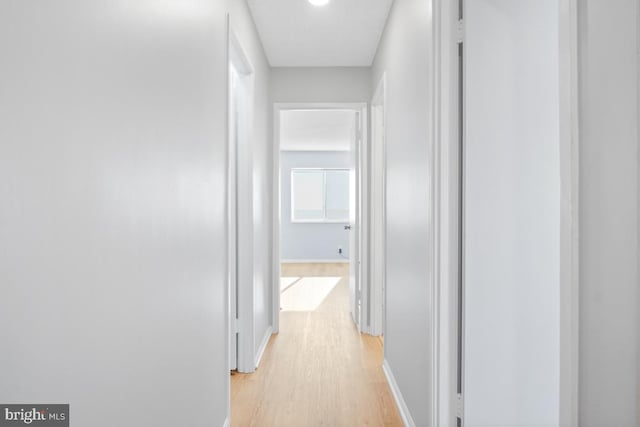 corridor with light wood-type flooring