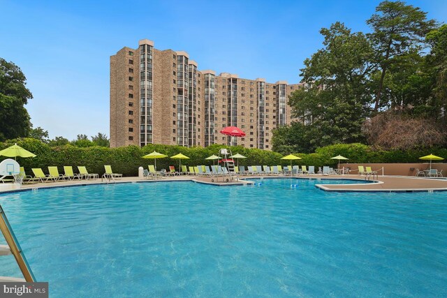 view of swimming pool featuring a patio area