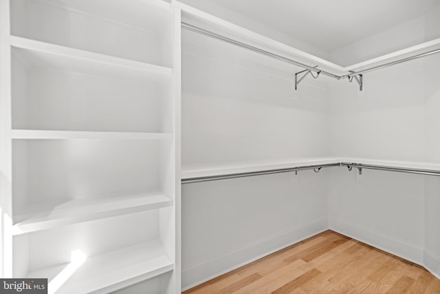 spacious closet with light hardwood / wood-style floors