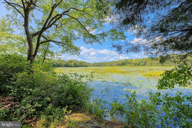 property view of water