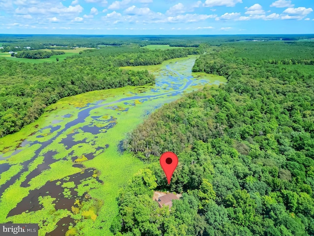 bird's eye view