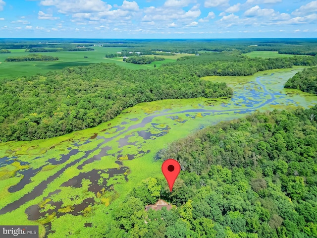 bird's eye view