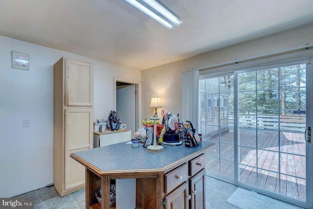 kitchen featuring a healthy amount of sunlight