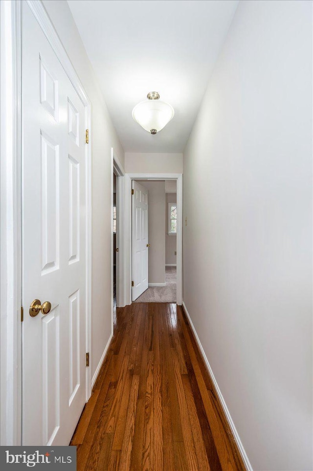 hallway with dark wood-type flooring