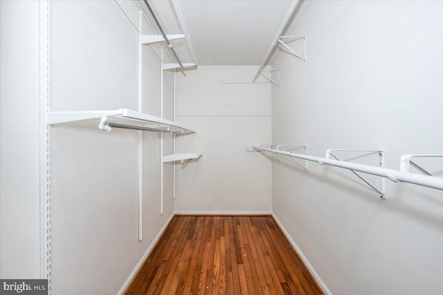 walk in closet with dark hardwood / wood-style floors