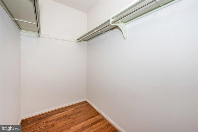 walk in closet with wood-type flooring