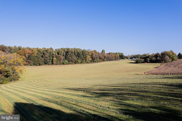 view of landscape with a rural view