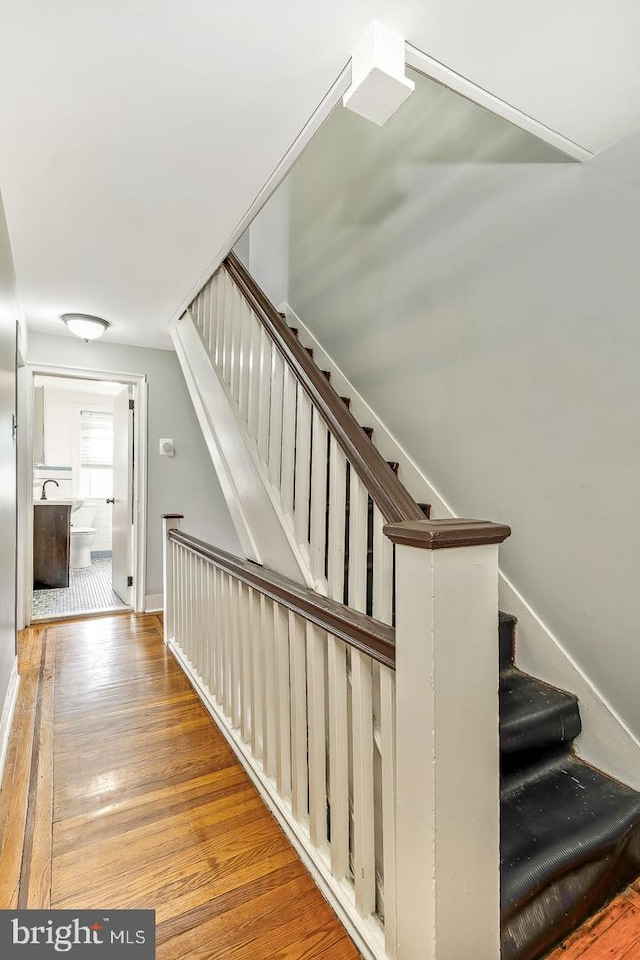 staircase featuring wood-type flooring and baseboards