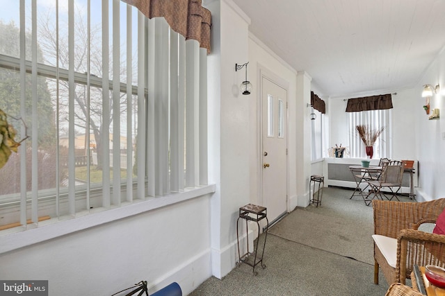 entrance foyer with carpet flooring