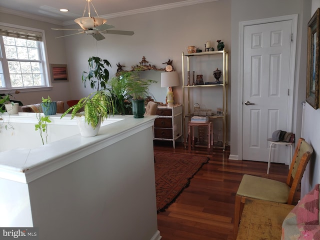 living room featuring crown molding, ceiling fan, and dark hardwood / wood-style floors