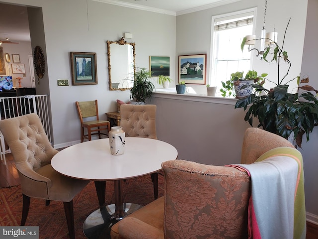 dining space featuring ornamental molding