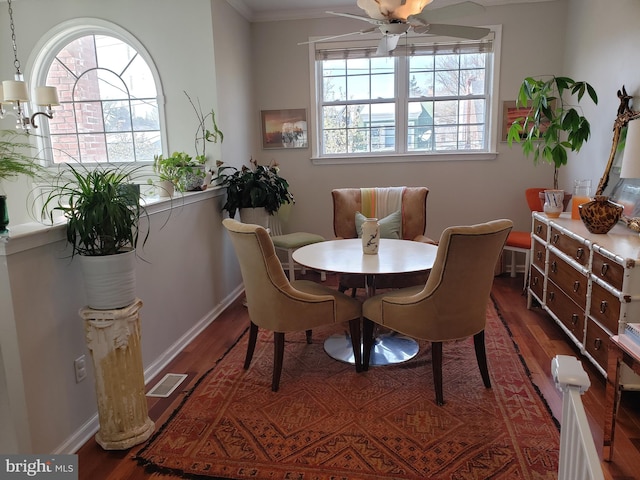 dining area featuring ceiling fan, dark hardwood / wood-style flooring, and crown molding